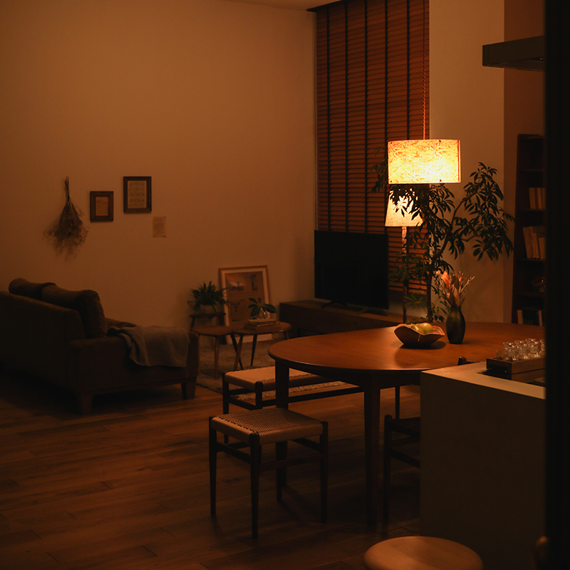 天井照明 Groove-ceiling lamp ｜家具・インテリア通販 Re:CENO
