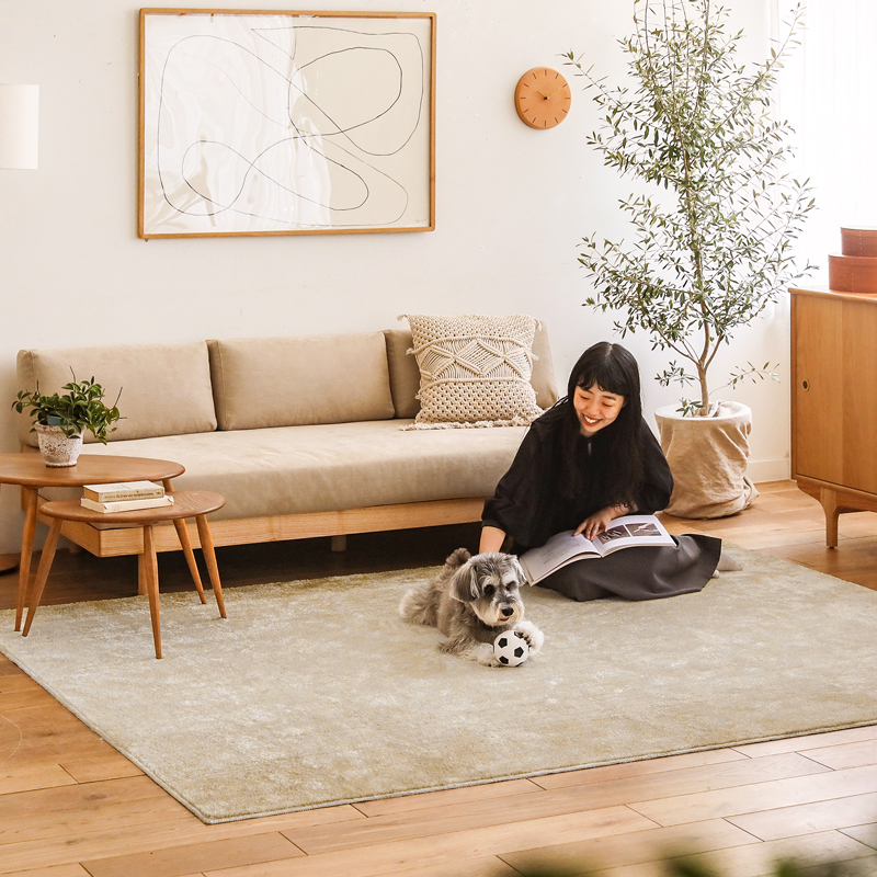 SIEVE morning daybed sofa ｜家具・インテリア通販 Re:CENO(リセノ)