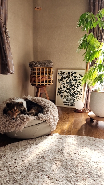 ラグマット LUCE 円形タイプ ｜家具・インテリア通販 Re:CENO(リセノ)