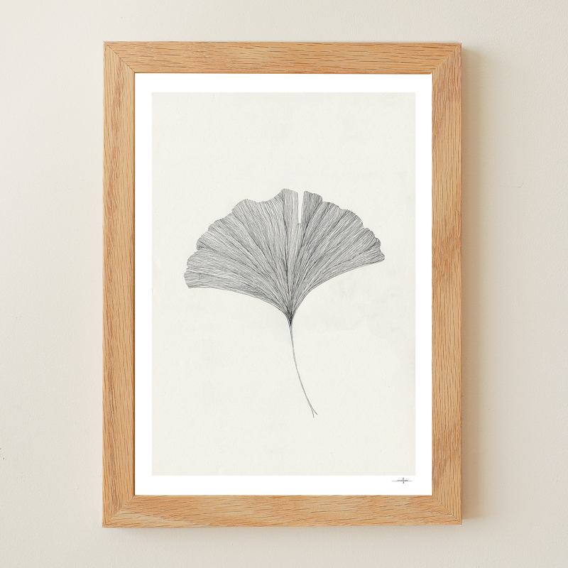 Ginkgo-Leaf.jpg