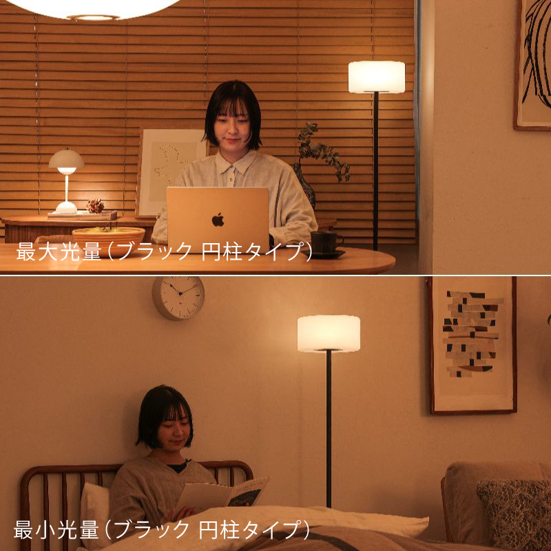 arc-fl-blog16.jpg