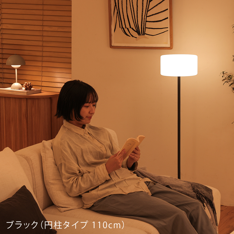 arc-fl-blog21.jpg