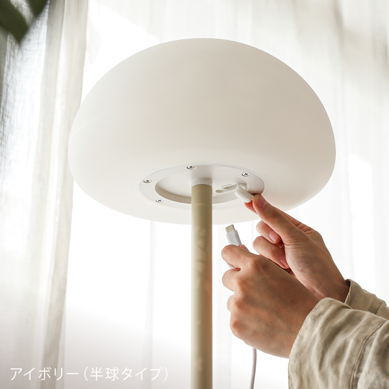 arc-fl-blog27.jpg