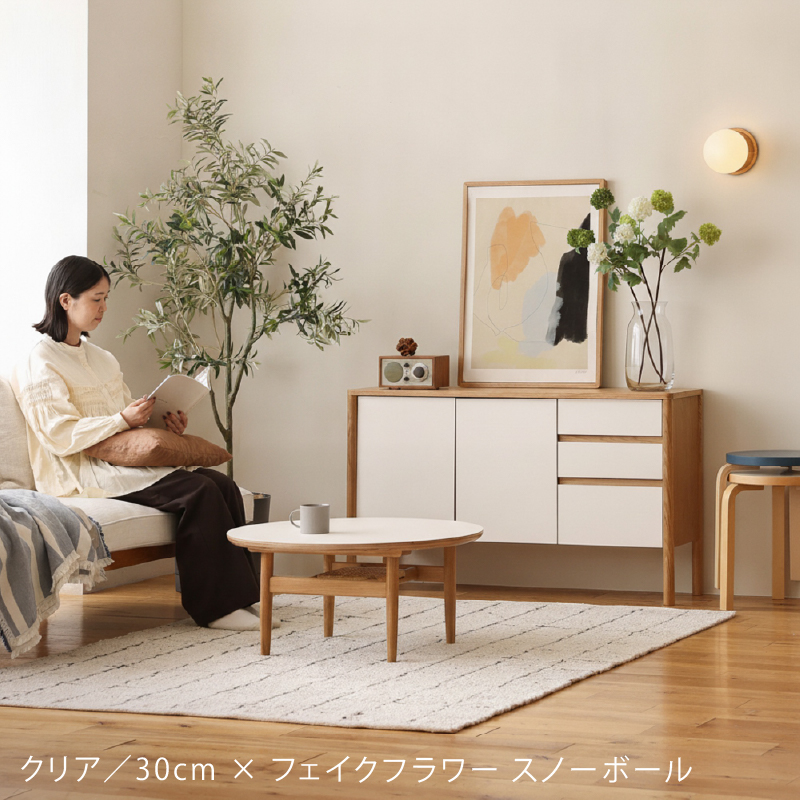 cas-fb-blog30.jpg