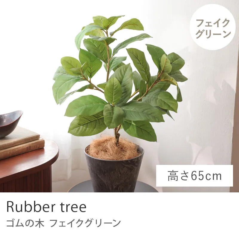 フェイクグリーン ゴムの木／高さ 65cm