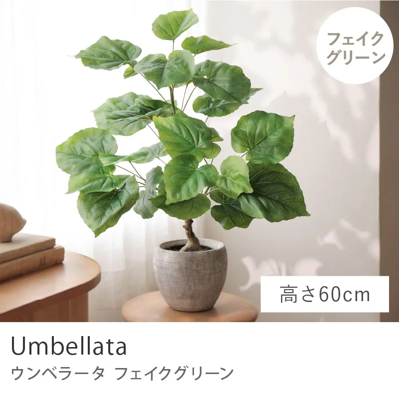 フェイクグリーン ウンベラータ／高さ 60cm