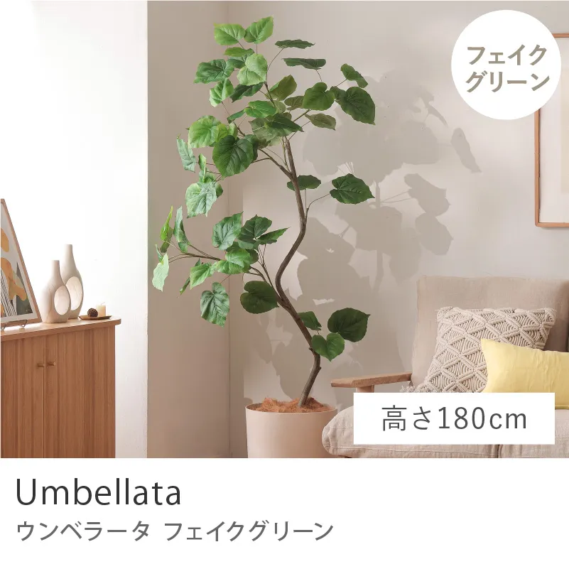 フェイクグリーン ウンベラータ／高さ 180cm