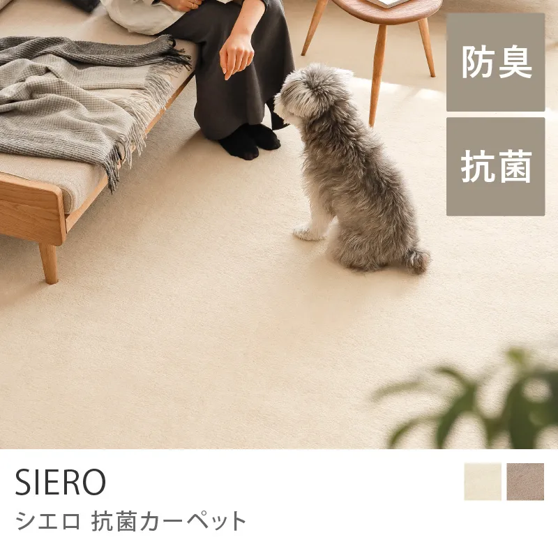 抗菌カーペット SIERO